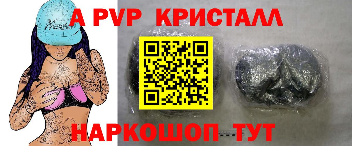 Альфа ПВП СК КРИС Саранск