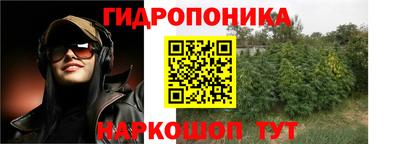 метадон Новодвинск