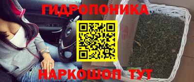 метадон Новодвинск